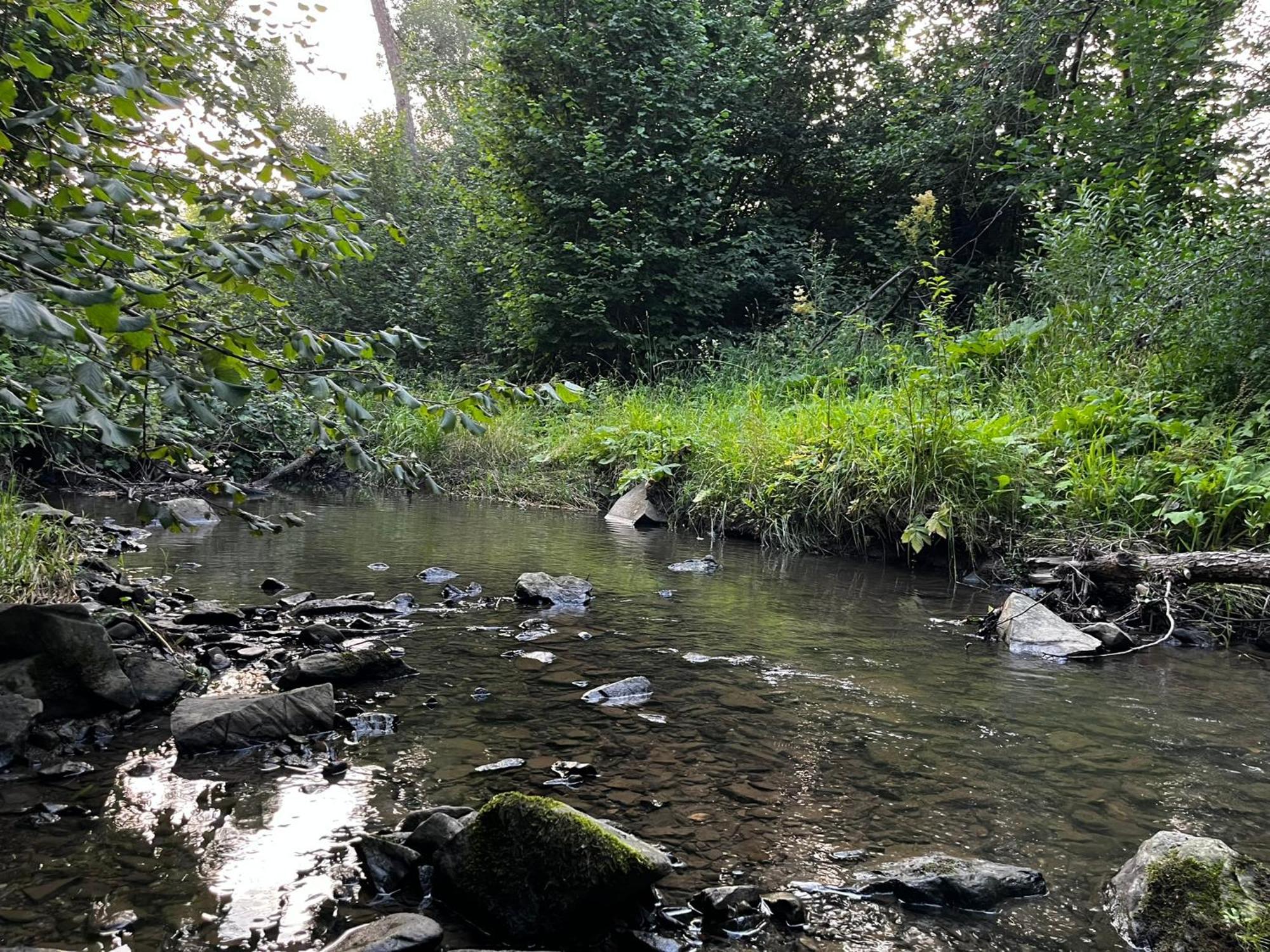 דירות Arłamów Osrodek Volfcamp Kwaszenina מראה חיצוני תמונה